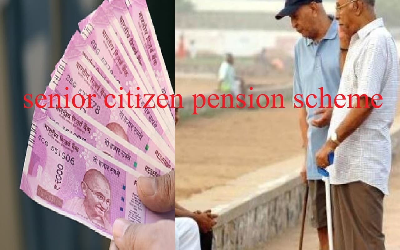 Pradhan Mantri Vaya Vandana Yojana: इस योजना में एक बार निवेश पर सलाना मिलेंगे 111000 रुपये, जानें डिटेल