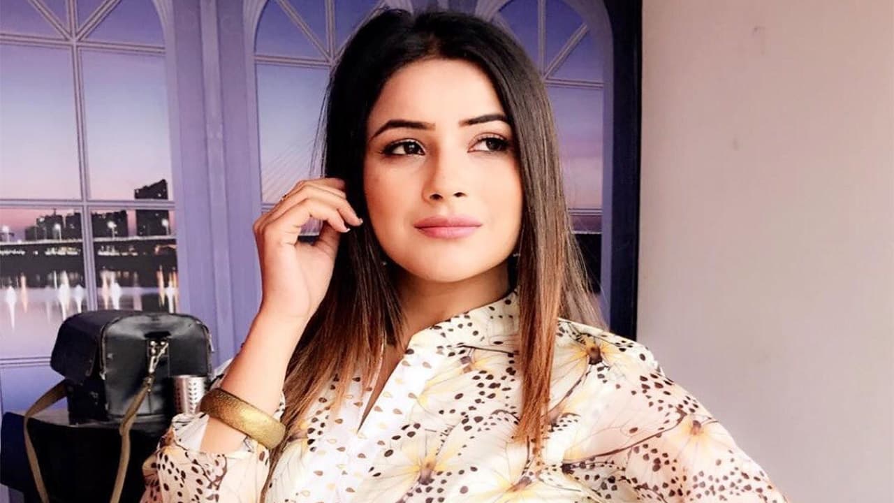 शहनाज गिल का ऐसा दिलकश अंदाज देख फैंस फिदा, वायरल VIDEO