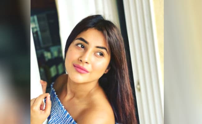 शहनाज गिल ने शेयर की बोल्ड 'मिरर सेल्फी', एक्ट्रेस की तसवीर देखने से खुद को नहीं रोक पाएंगे आप