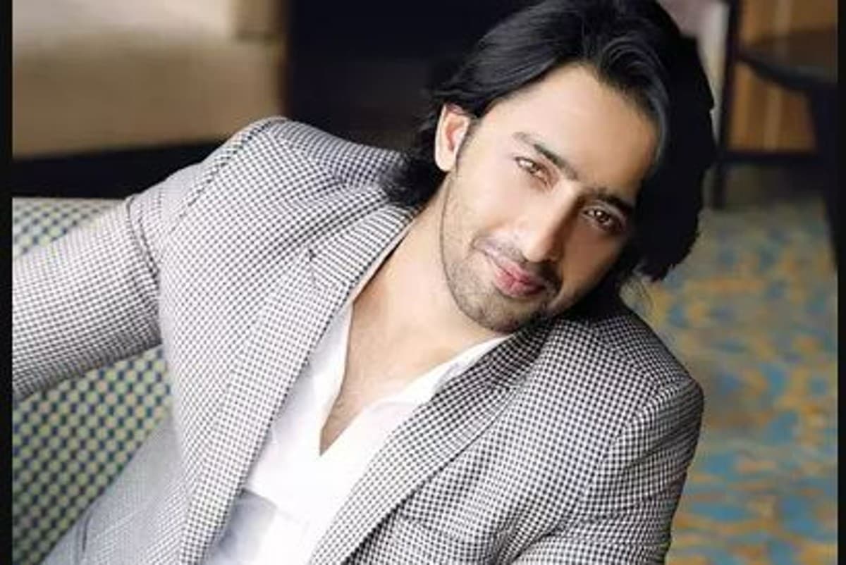 शाहीर शेख ने जब झेली थी पैसों की तंगी, एक्टिंग छोड़कर किया था ये काम