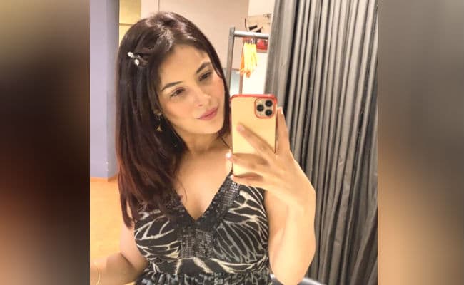 शहनाज गिल की खूबसूरत तसवीर पर फैंस फिदा, बोले- 'हमसे खुशनसीब तो आपके घर का आईना है जो...'