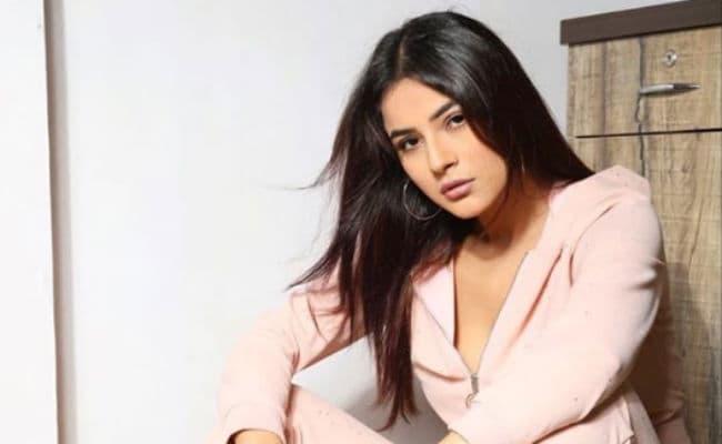 अभिनेत्री शहनाज गिल ने शेयर की यह खूबसूरत तसवीर, फैंस बोले- हमारी आंखों से आकर पूछो...