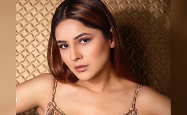 शहनाज गिल पिंक ड्रेस में दिखीं बेहद बोल्‍ड, सोशल मीडिया पर फैंस ने लिखा,' इतनी खूबसूरत लड़की अगर...'