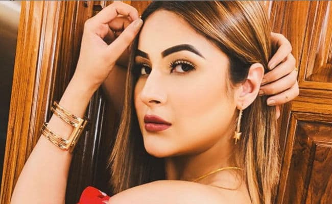 शहनाज गिल फ्लोरल ड्रेस में दिखी बेहद हसीन, फैंस ने कमेंट में लिखा,' सिद्धार्थ भाई...