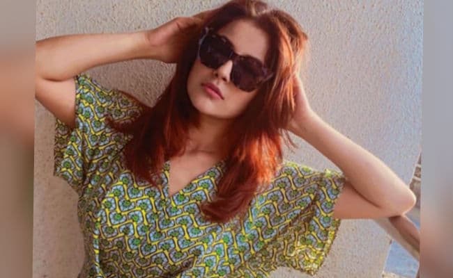 शहनाज गिल ने माना सिद्धार्थ शुक्‍ला है TRP किंग, फ्रेशर्स को लेकर क‍ह दी ये बड़ी बात