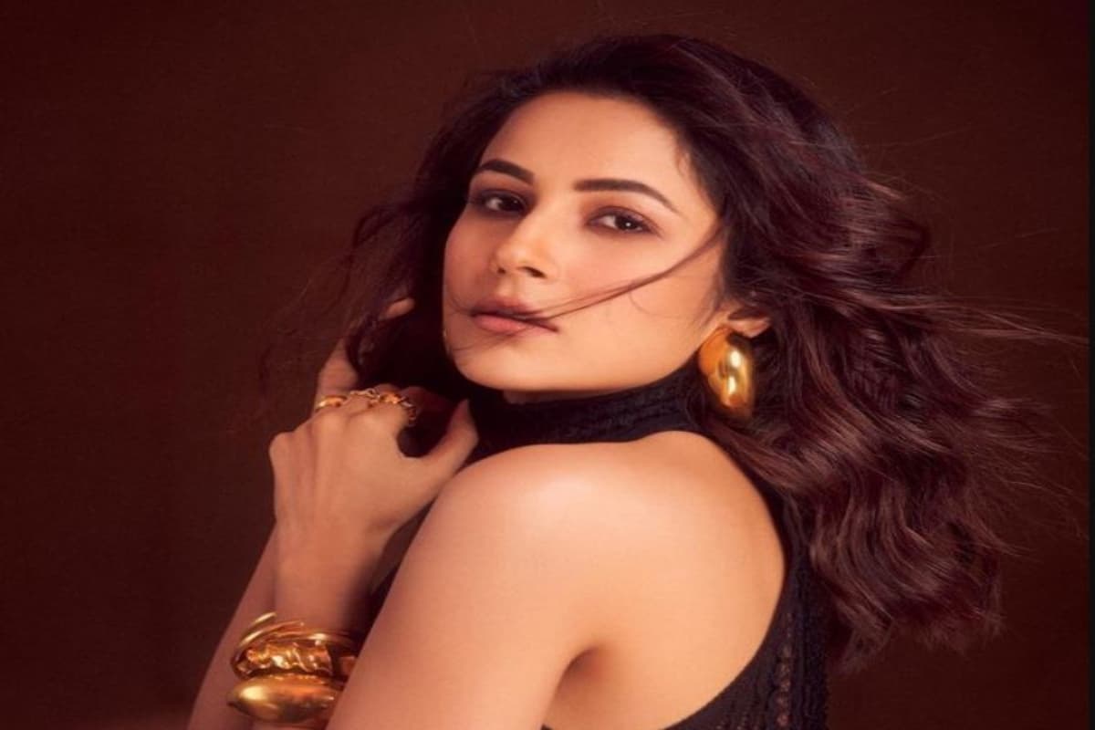 शहनाज गिल नजर आयेंगी कई फिल्मों में, 'किसी का भाई किसी की जान' से करेंगी डेब्यू