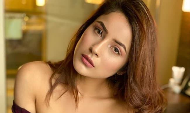 शहनाज गिल ऑफ शोल्‍डर ड्रेस में दिखीं बेहद बोल्‍ड, सोशल मीडिया पर वायरल हो रही तसवीरों पर दिल हार बैठे फैंस, Photos