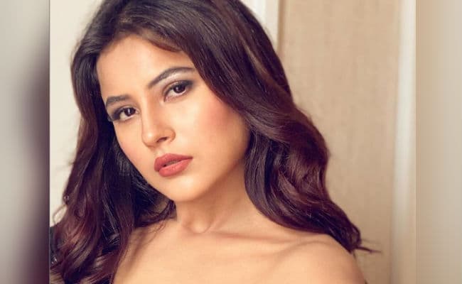 PHOTOS : शहनाज गिल ने 2020 में बोल्‍ड फोटोशूट से मचाया तहलका, इन 10 तसवीरों पर दिल हार बैठे फैंस