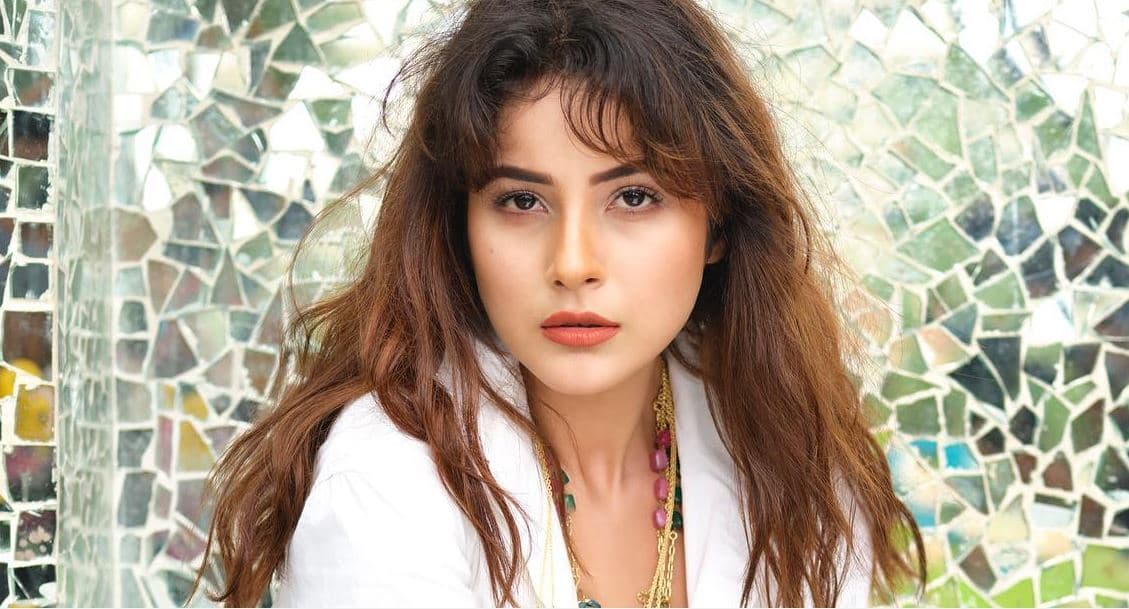 Shehnaaz Gill ने अपने वजन घटाने की वजह का किया खुलासा, सामने आया ये VIDEO Shehnaaz Gill ने अपने वजन घटाने की वजह का किया खुलासा, सामने आया ये VIDEO