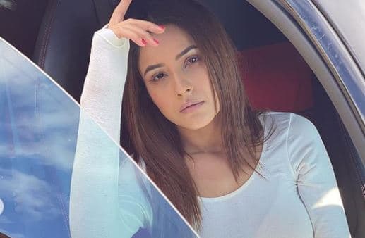 शहनाज गिल ने कार में बैठकर कराया बोल्‍ड फोटोशूट, फैंस ने कमेंट में लिखा आप इंटरनेशनल क्रश हो...