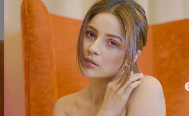 शहनाज गिल ने ऑफ शोल्‍डर ड्रेस में कराया बोल्‍ड फोटोशूट, सोशल मीडिया पर वायरल हो रही इन तसवीरों पर आया फैंस का दिल, Viral Photo