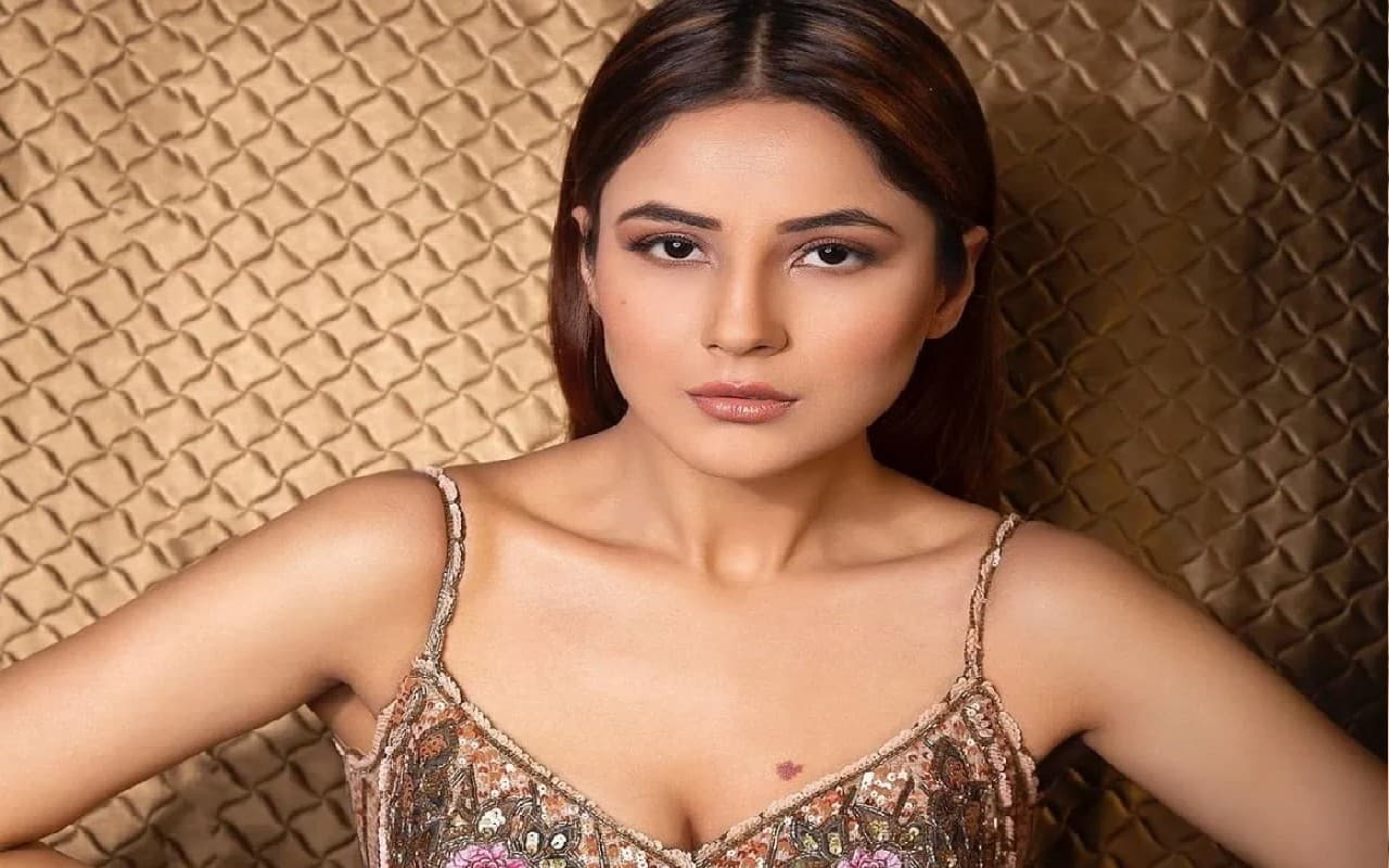 सिद्धार्थ शुक्ला के बाद राघव जुयाल को डेट कर रही शहनाज गिल?एक्ट्रेस ने तोड़ी चुप्पी,कहा-हम किसी के साथ…