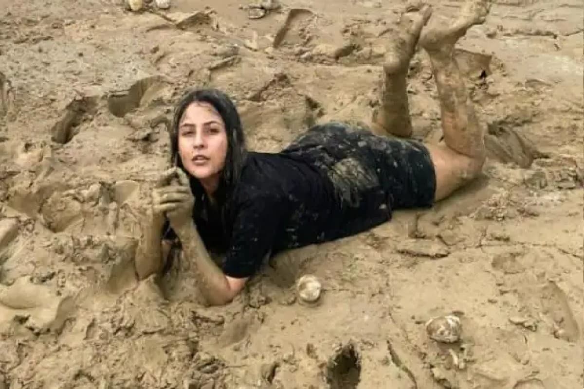 Shehnaaz Gill ने सड़क किनारे मिट्टी में लेटकर दिए पोज, फैंस बोले- अब मम्मी जरूर मारेगी