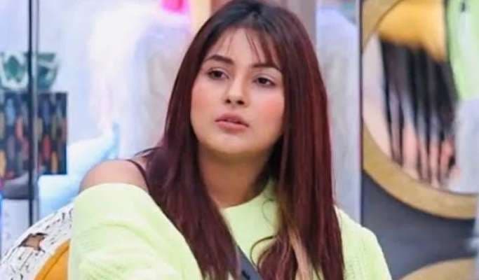 शहनाज गिल बॉडीकॉन ड्रेस में दिखीं बेहद ग्‍लैमरस, फैंस ने कमेंट में लिखा,' बेस्‍ट लुक में से एक...'