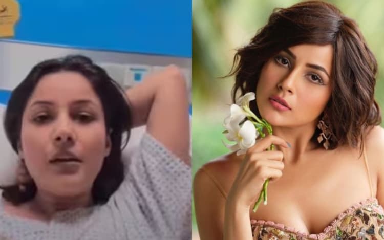 सिद्धार्थ शुक्ला की रूमर्ड गर्लफ्रेंड शहनाज गिल अस्पताल में भर्ती, लाइव वीडियो में कहा- 'टाइम सबका आता है...'