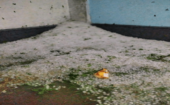 बिहार में बारिश के साथ ओलावृष्टि, डेढ़ फुट तक बिछी बर्फ की परत, पटना में 13.9 एमएम बारिश,
बढ़ेगी गलन