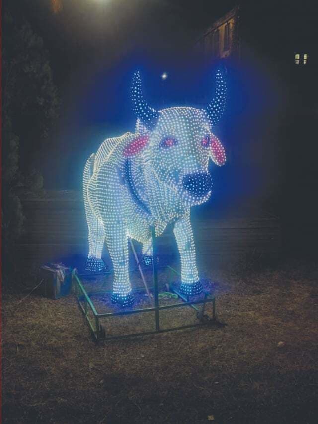 मिशन मिलियन सेक्सड आर्टिफिशियल इंसिमिनेशन से घर-घर में होगी गाय,10 लाख गोवंश का होगा कृत्रिम गर्भाधान