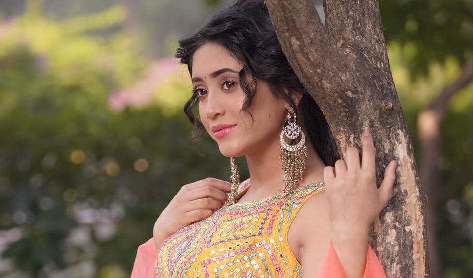 Anupama: क्या लीप के बाद ये रिश्ता क्या कहलाता है की नायरा शो में लेंगी एंट्री, इस नाम पर भी हो रही चर्चा