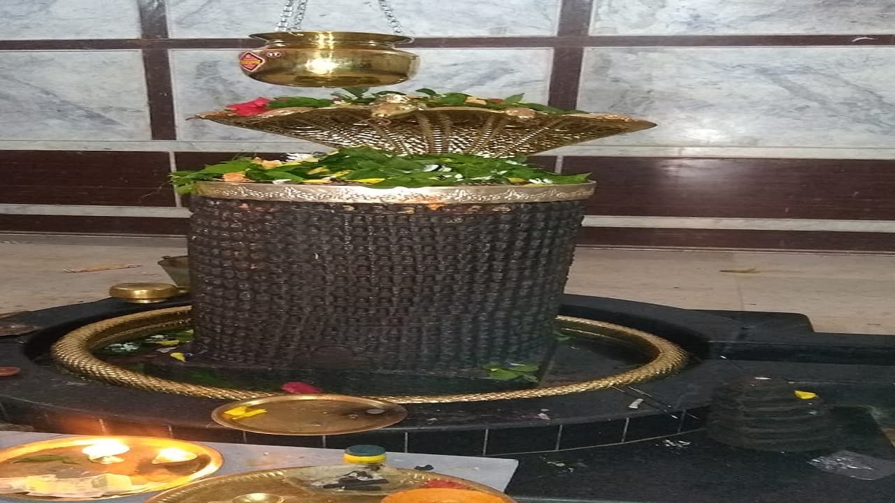 महाशिवरात्रि 2022: मां भद्रकाली मंदिर के सहस्त्रशिवलिंगम पर जलाभिषेक कर भगवान शिव को ऐसे करें प्रसन्न