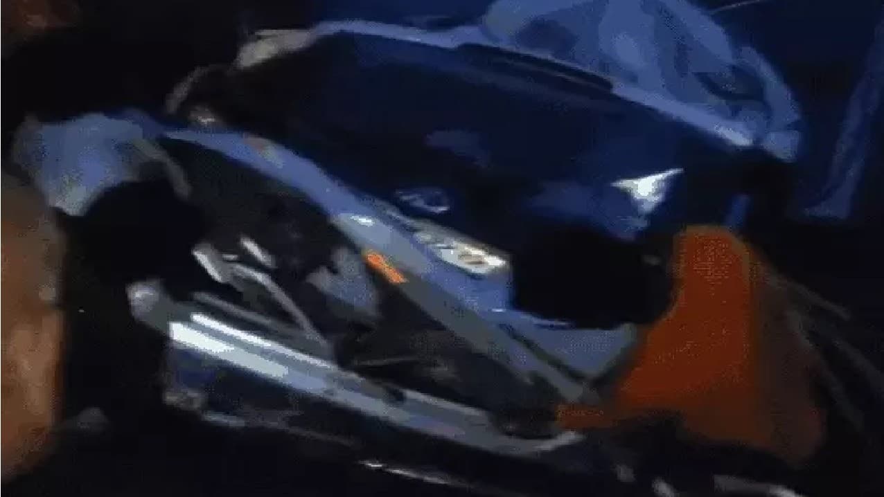 UP Accident News: श्रावस्ती में आवारा जानवर को बचाने में पेड़ से टकराई कार, 5 लोगों की मौत