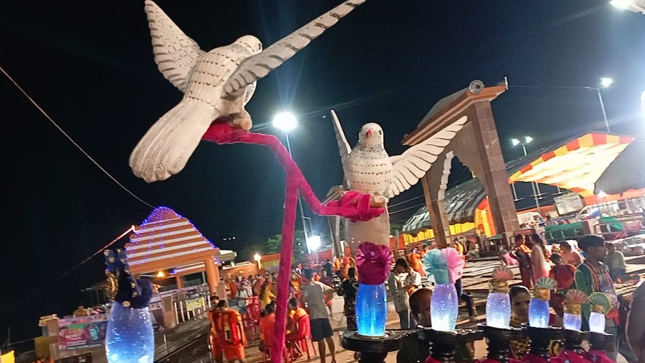 श्रावणी मेला: 70 किलो के कांवर पर बैठे 2 कबूतरों को देखने जुट रहे लोग, बंगाल के कांवरियों ने जानें क्या कहा..