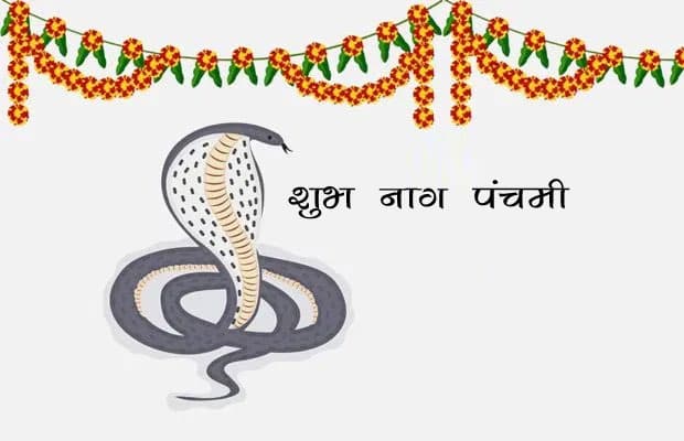VIDEO: क्यों और कब से मनाई जाती है नाग पंचमी, देखें वीडियो में
