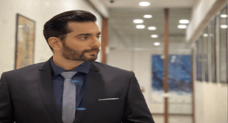 अधूरी रह गई सिद्धार्थ शुक्ला की ख्वाहिश, Bigg Boss में एक्टर ने हिना खान से बताई थी ये इच्छा