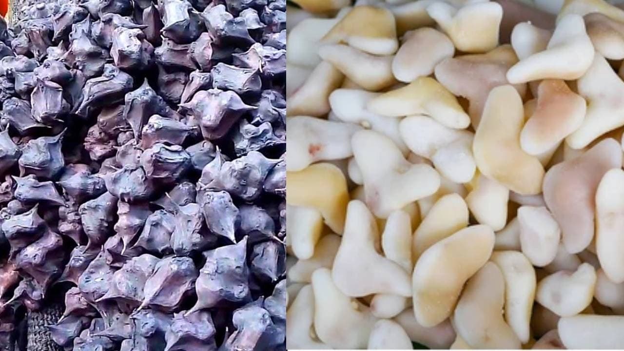 बिहार में बाढ़ से अब फसलें नहीं होंगी खराब, सिंघाड़े की खेती से किसान होंगें मालामाल