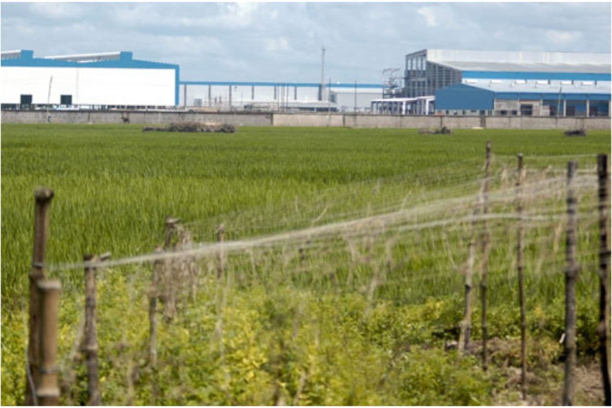 WB News : आखिर क्यों 15 साल बाद फिर चर्चा में आया सिंगूर