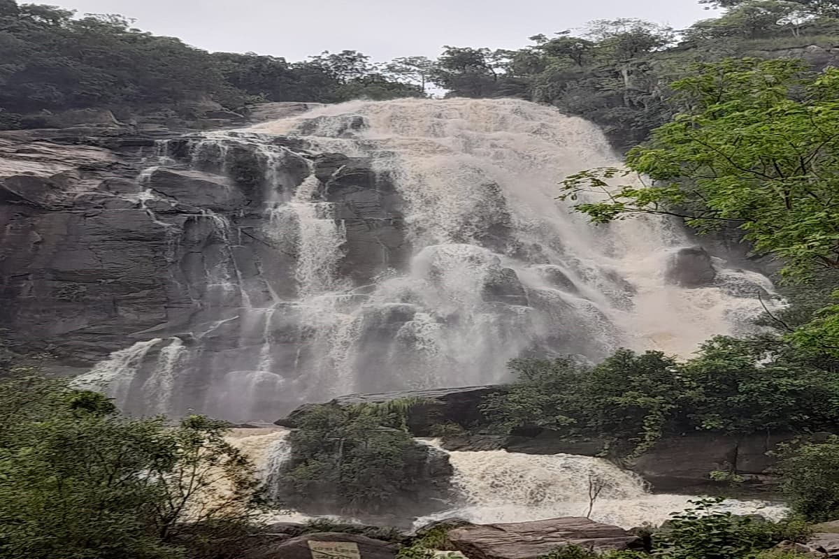 Jharkhand News : बारिश से निखरा जोन्हा, हुंडरू एवं सीता फॉल का सौंदर्य, देखते रह जाएंगे, बरतें ये सावधानी Jharkhand News : बारिश से निखरा जोन्हा, हुंडरू एवं सीता फॉल का सौंदर्य, देखते रह जाएंगे, बरतें ये सावधानी