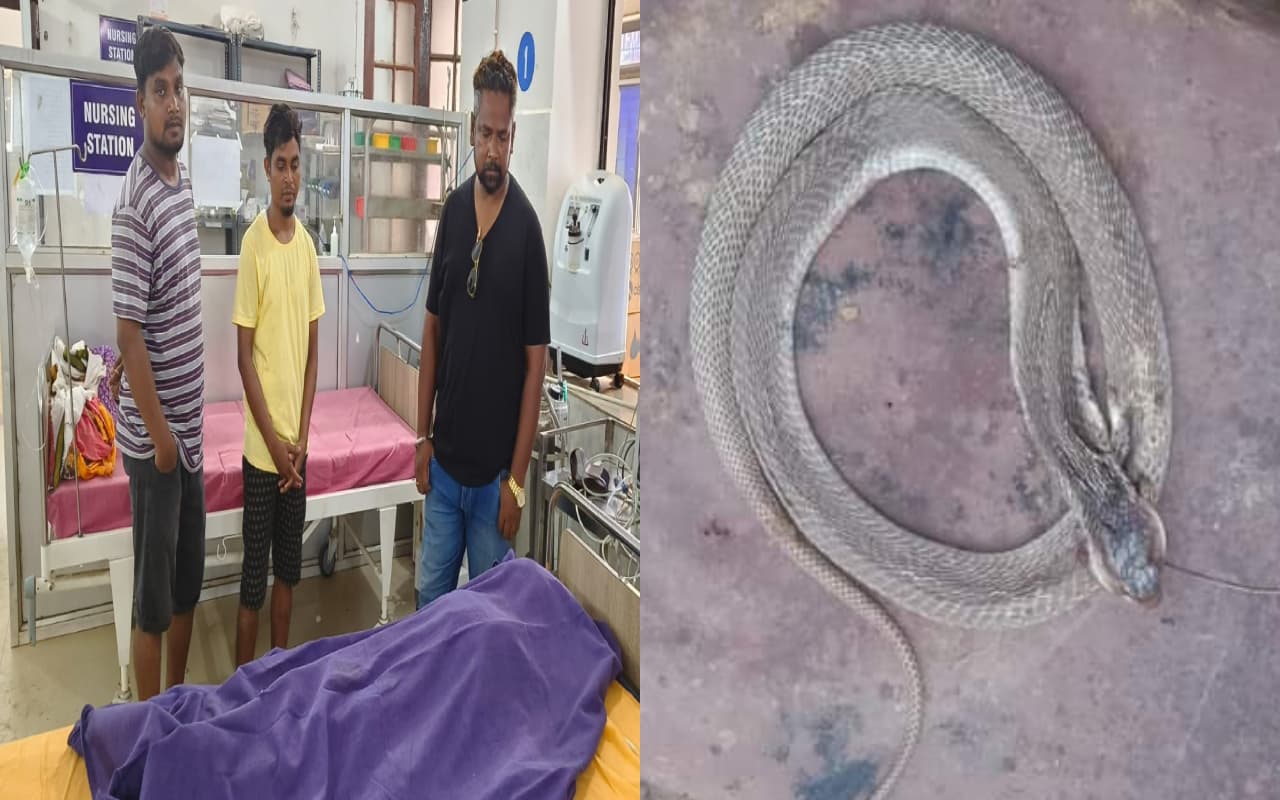 Snake Bite: सरायकेला में सांप काटने से 12 साल की बच्ची की मौत, परिजनों का रो-रोकर बुरा हाल
