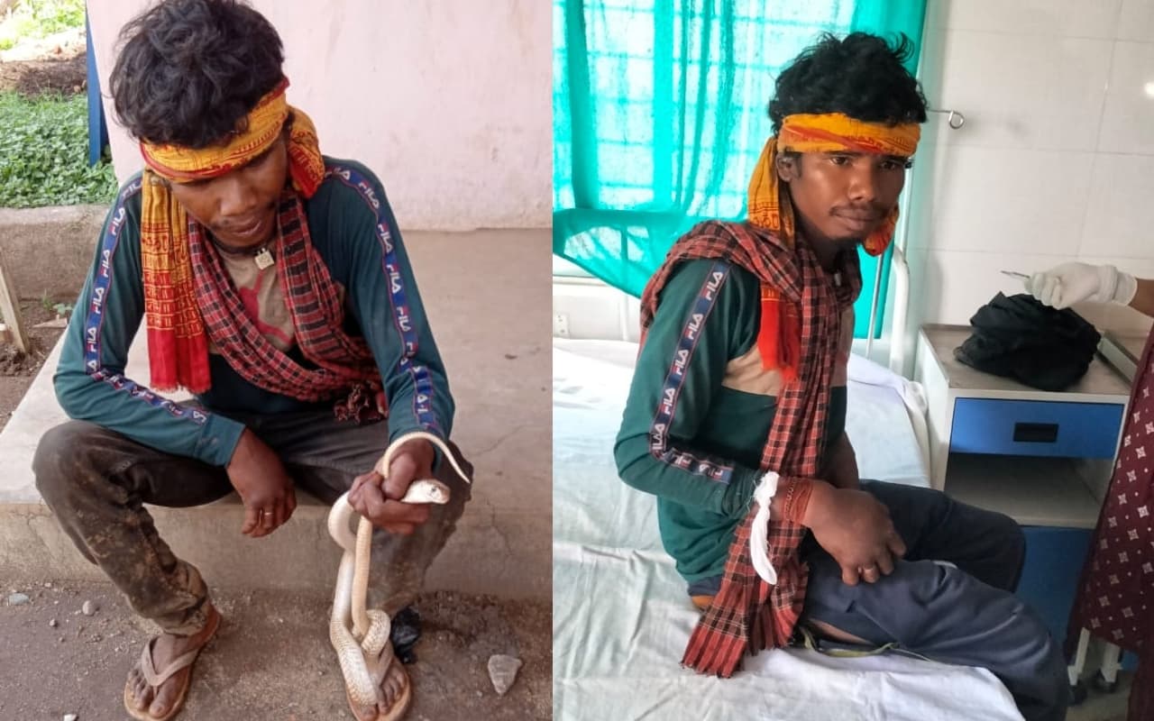 महाराष्ट्र के थाणे में दिखा भारत में दुर्लभ एल्बिनो सांप, 15 फुट के अजगर को भी वन विभाग ने किया रेस्क्यू