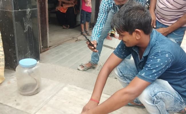 कोबरा सांप के साथ सर्पदंश से पीड़ित युवक को लेकर अस्पताल पहुंचे परिजन, फिर हुआ कुछ ऐसा, आप भी जानें