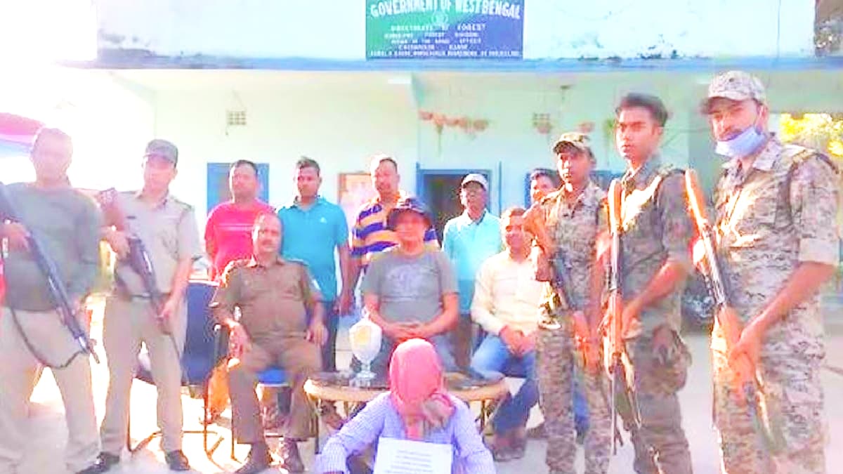 Snake: वन विभाग को मिला 30 करोड़ के सांप का जहर, फ्रांस से पहुंचाना था चीन, जानें कैसे पहुंचा बिहार