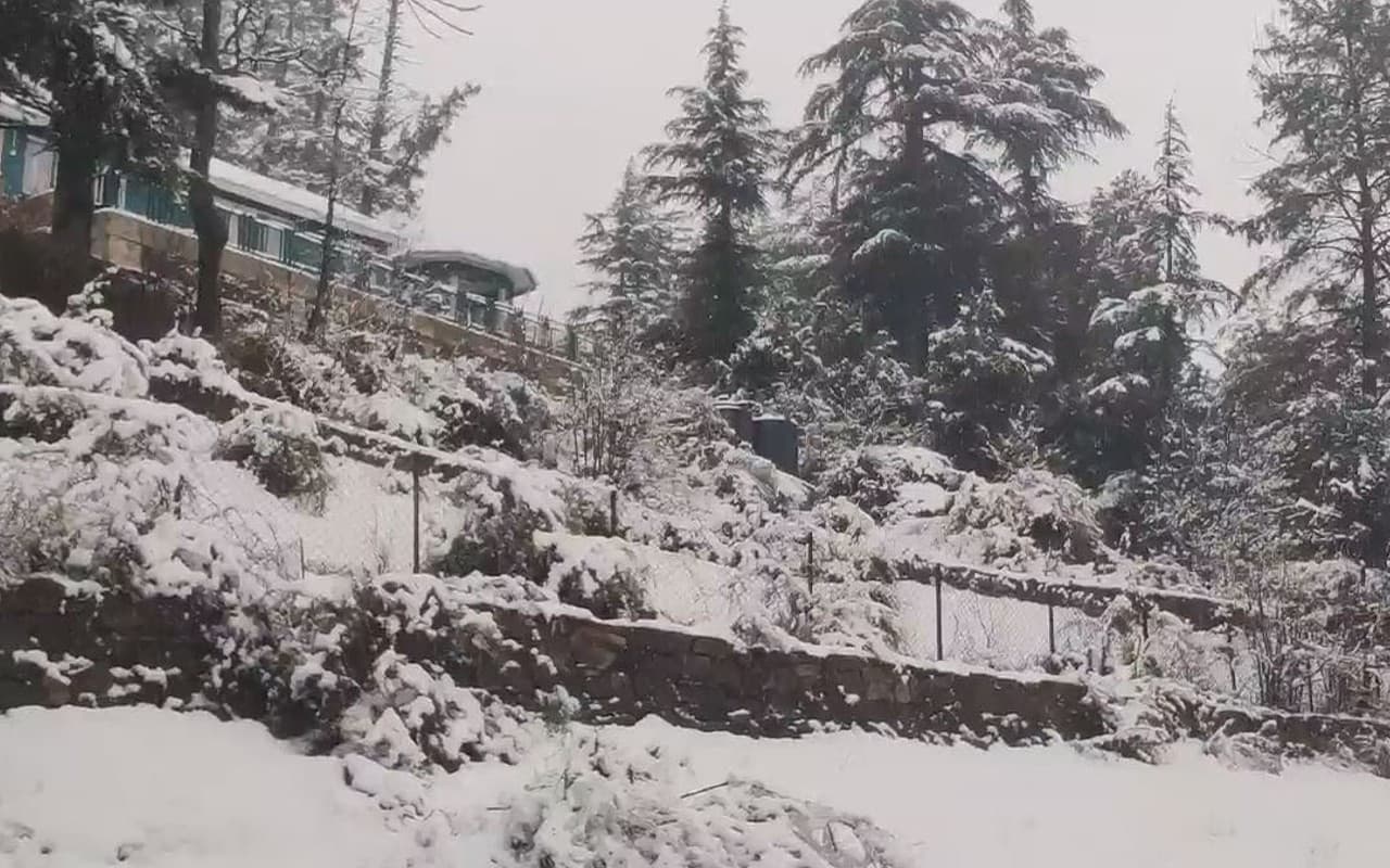 Snowfall In Srinagar: श्रीनगर में हो रही है बर्फबारी, देेखने को मिला मनोरम दृश्य, देखें Viral Photos