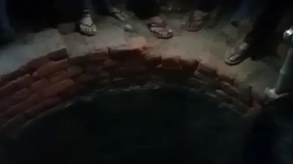 बाराबंकी में सांड़ पकड़ने के लिए खरीदी जाएगी 'ट्रेंकुलाइजर गन', जानिए ये पैलट गन से कितनी है अलग