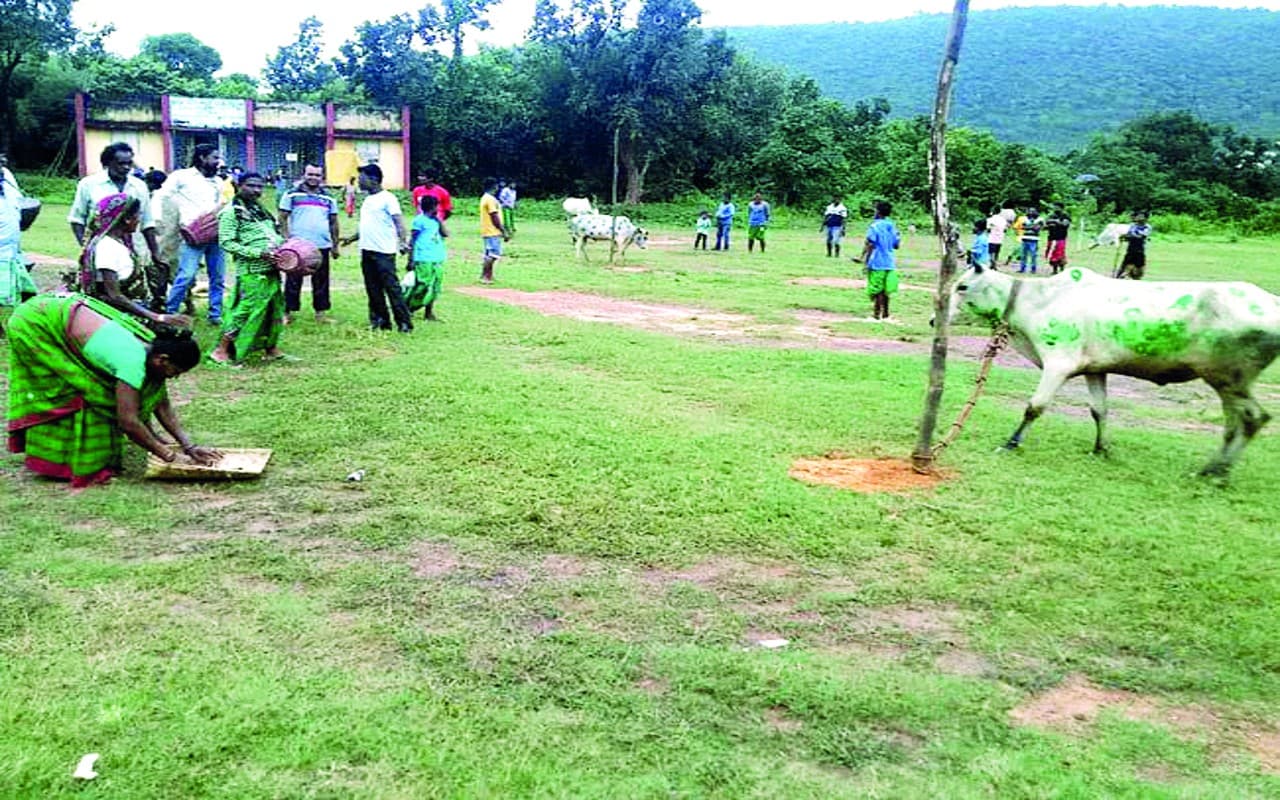 My Mati: खोरठा लोकगीतों में झारखंड की सबसे लोकप्रिय परब 'सोहराय'