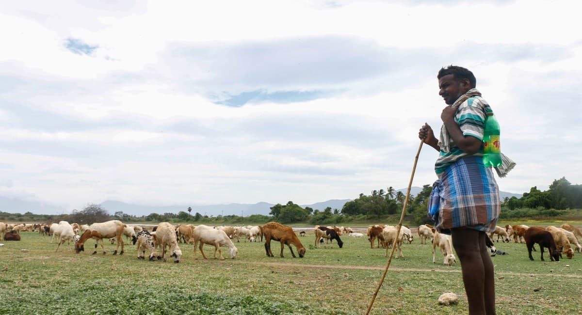 Weather Forecast : दक्षिण-पश्चिम मानसून की विदाई आज से शुरू, 61 साल में दूसरी बार देर से हो रही वापसी