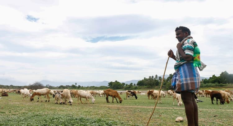 Weather Forecast : दक्षिण-पश्चिम मानसून की विदाई आज से शुरू, 61 साल में दूसरी बार देर से हो रही वापसी
