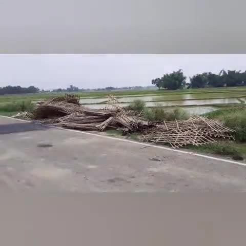 बिहार के इस शहर में 2100 पौधों ने पेड़ बनने से पहले ही तोड़ दिया दम, गैबीयन भी गायब