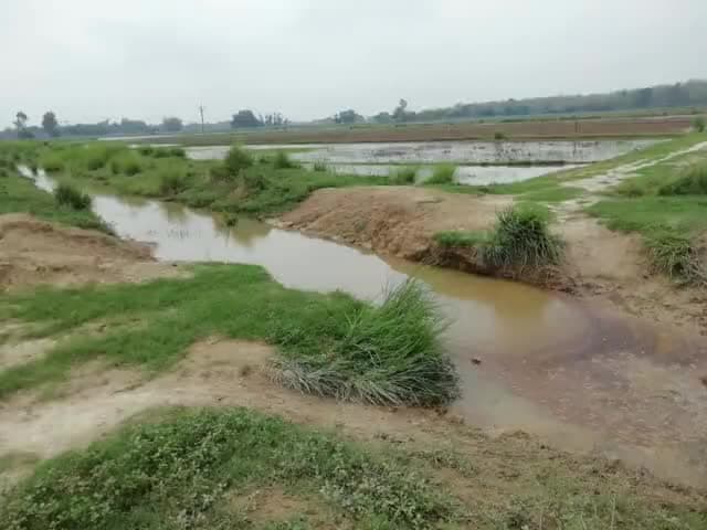 मुर्दे ने केनाल खोद कर ली मजदूरी, अब अधिकारी को चाहिए लिखित शिकायत