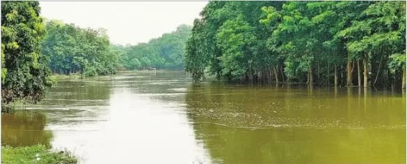 दरभंगा के पश्चिमी भाग के नये इलाके में तेज रफ्तार से फैल रहा बागमती नदी का पानी