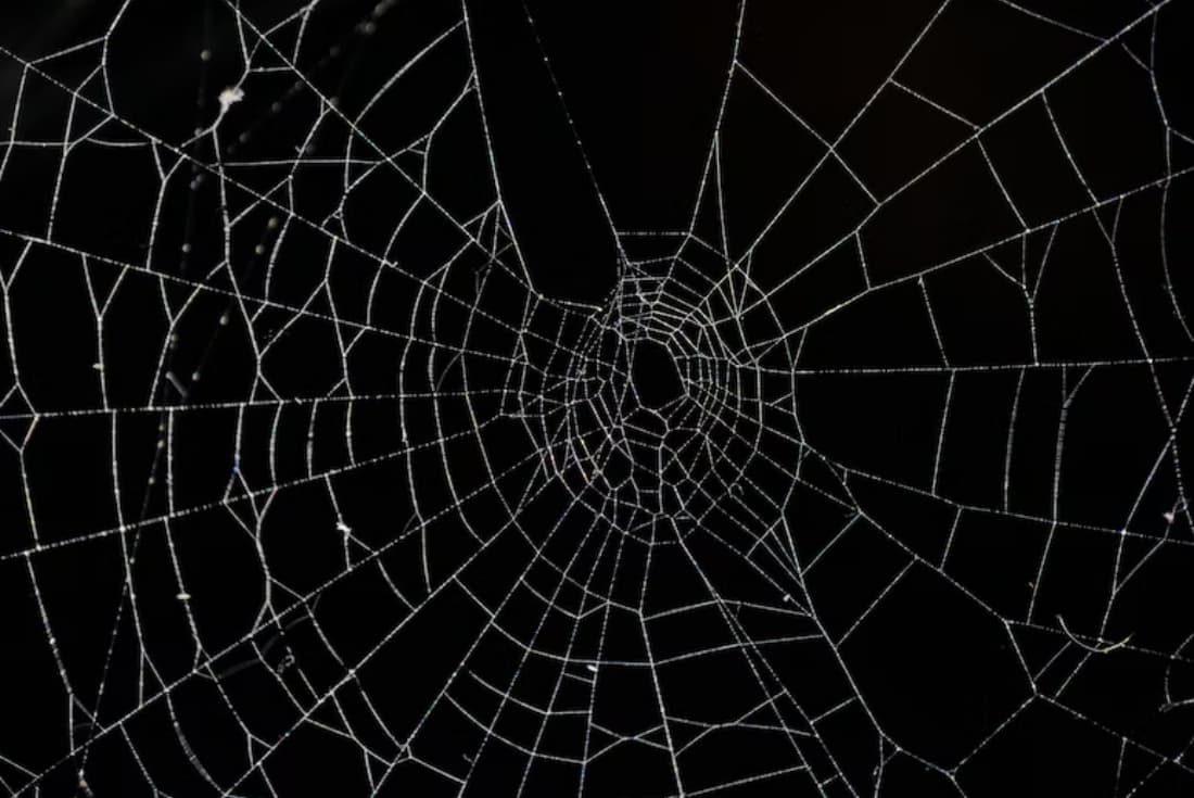 Vastu tips: घर में मकड़ी के जाल रहने से आती है कई परेशानी, मानसिक समस्या समेत गरीबी की निशानी भी