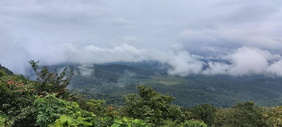 World Environment Day 2021 : जंगल माफियाओं के खिलाफ झारखंड जंगल बचाओ आंदोलन की मुहिम लाई रंग, सरायकेला के जंगलों में लौटी हरियाली