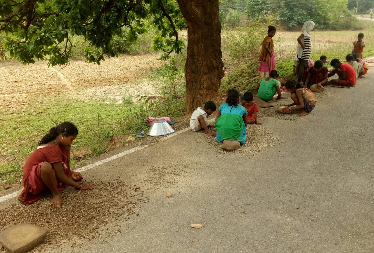 झारखंड के कोल्हान में आजीविका के लिए लघु वनोपज पर आश्रित है बड़ी आबादी, आदिवासी कल्याण मंत्रालय द्वारा ये है तय न्यूनतम समर्थन मूल्य, पढ़िए पूरी लिस्ट