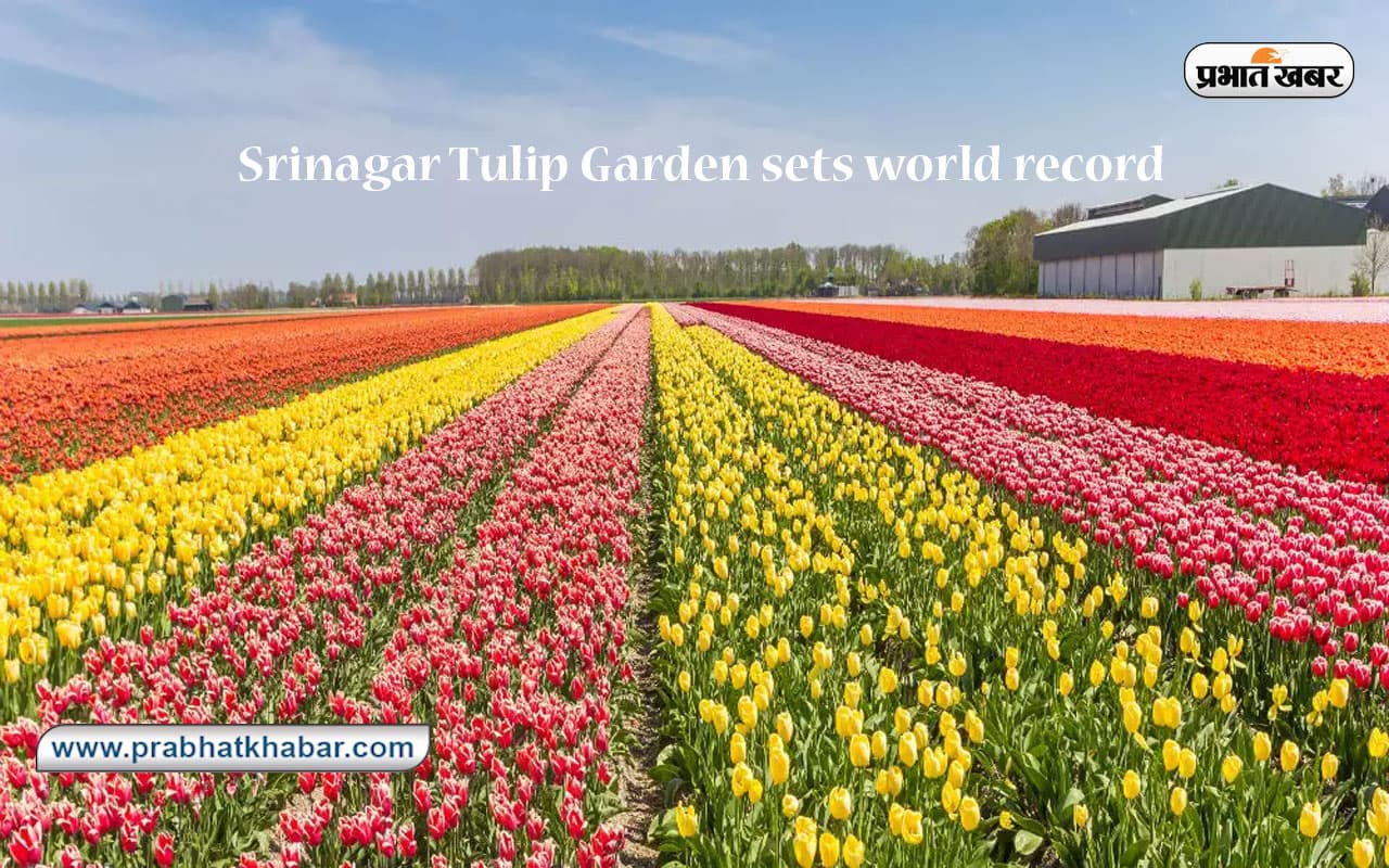 Tulip Garden Tour: कश्मीर के ट्यूलिप गार्डन ने बनाया वर्ल्ड रिकॉर्ड, जानें क्या है खास