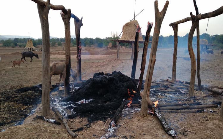 झारखंड : गुमला में वज्रपात का कहर, तीन लोगों की मौत, एक घायल, आधा दर्जन पशु भी मरे