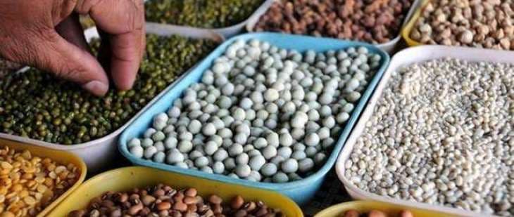 अनुदानित बीज के लिए करना होगा इंतजार