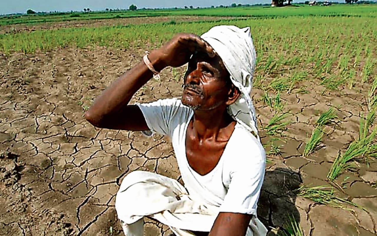 किसानों को डिजिटल फसल सर्वेक्षण से मिलेगा ये लाभ, मुख्य सचिव ने प्रशिक्षण कार्यक्रम में बतायी खूबियां