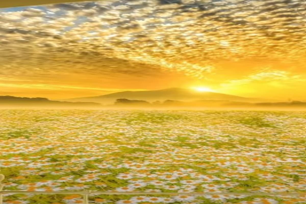 Sun: ऐसे देश जहां कभी नहीं होती रात, 24 घंटे चमकता रहता है सूरज, यहां देखिए लिस्ट